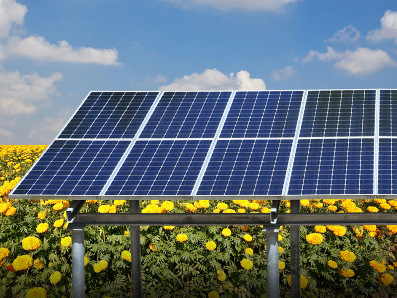 Photovoltaic Solar Power Plants